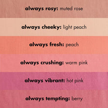 Cargar imagen en el visor de la galería, PRIMER-INFUSED MATTE BLUSH
